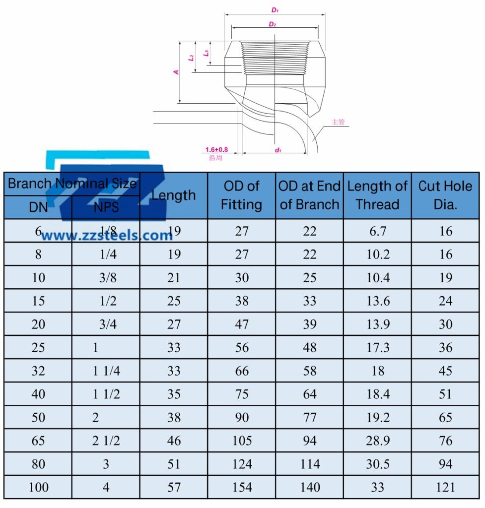 Threadolet 3000LB BSP Stainless Steel Olet Pipe Fittings Manufacturer