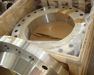 150 LB Blind Flange Package