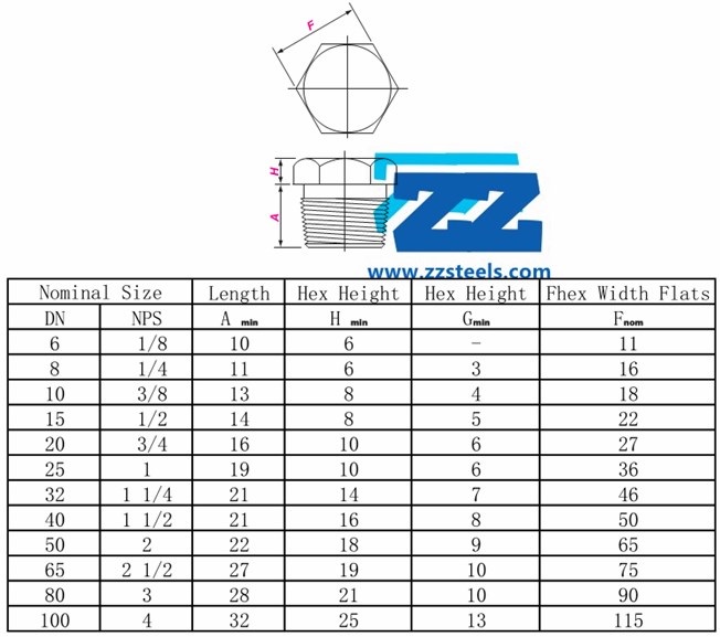 BSPP Hex Plug ASME B16 11 3 8 3000LB Forged Steel Fittings ZIZI