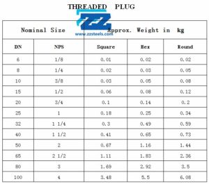 Threaded Plug Weight